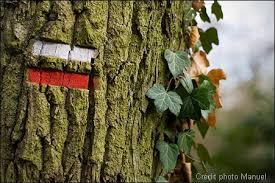 image (6)