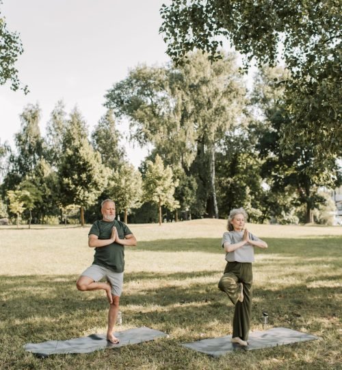 Couple de seniors pratiquant des postures de yoga sur tapis dans un parc ensoleillé