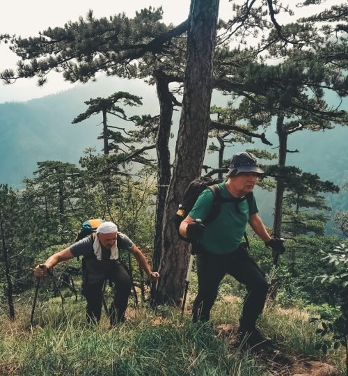 Deux randonneurs seniors sur un sentier forestier avec vue sur les montagnes